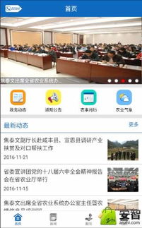 應(yīng)用搜索 互聯(lián)網(wǎng)信息服務(wù)的起點(diǎn)與演進(jìn)